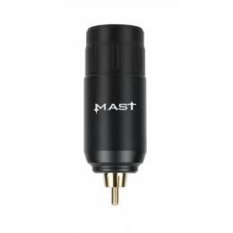 Mast U1 P113
