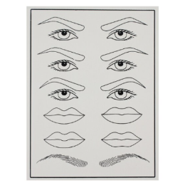 Tattoo practice skin (eyebrows, eye and lips)